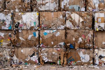 Auditoría de sostenibilidad y compromiso social